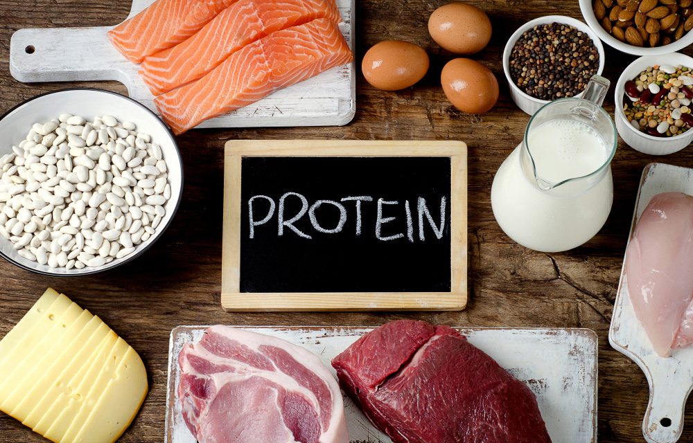 Best Foods High in Protein on wooden background. Healthy eating and diet concept